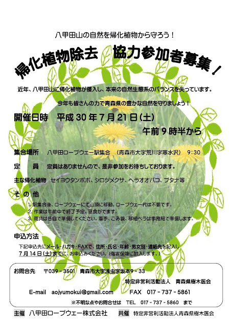 青森県樹木医会ブログ 八甲田ロープウェー帰化植物除去作業開催のお知らせ