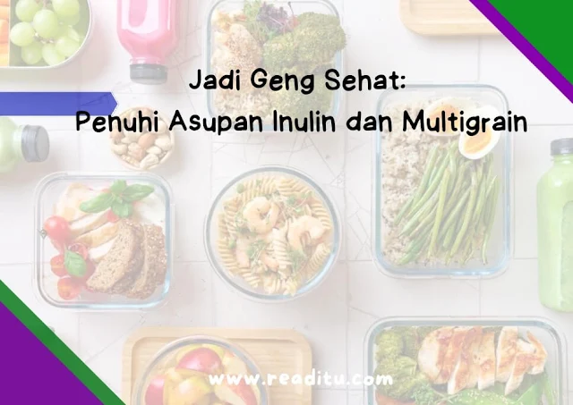 apa itu inulin multigrain?, apa manfaat inulin dan multigrain?