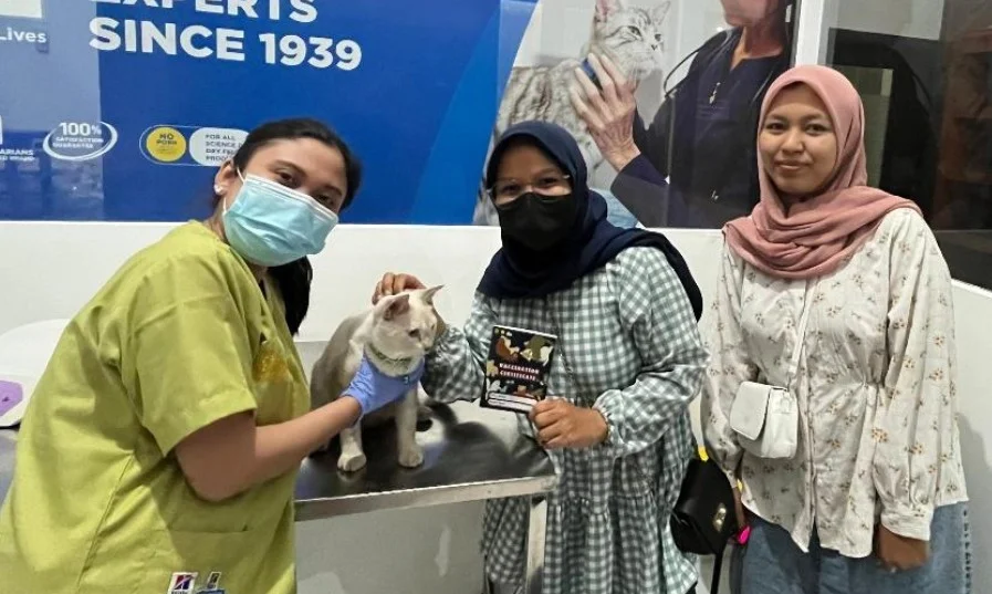Kolaborasi FKH UWKS & RSHP WEKA Edukasi Risiko Gangguan Hemodinamik dan Cek Darah Gratis pada Kucing