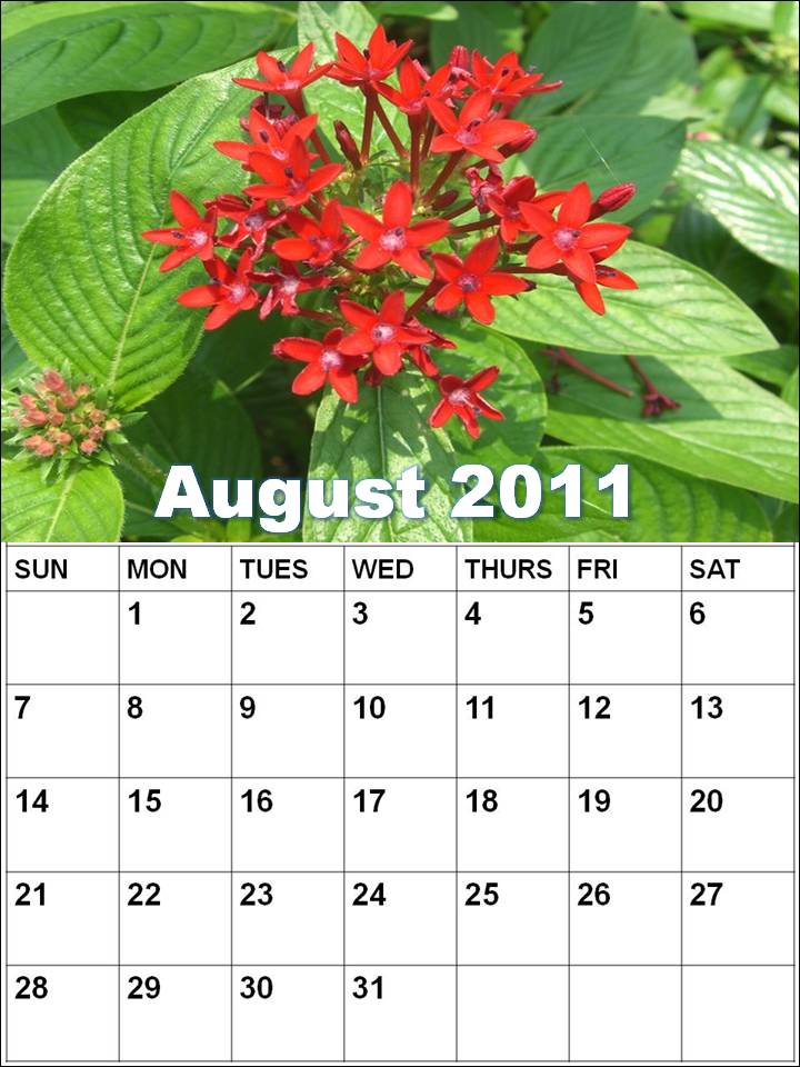 august calendar 2011 printable. hot Free printable CD calendar