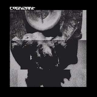 2016 - Cognizant