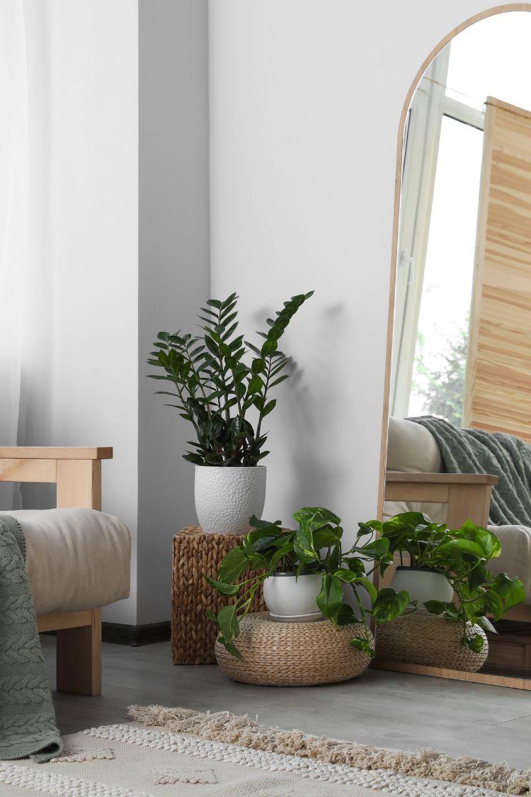 Large mirror reflecting natural light to make a small room look bigger and brighter