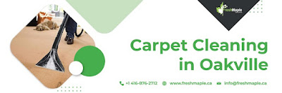 Carpet%20Cleaning%20in%20Oakville%202.jpg