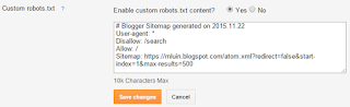 Custom robots.txt