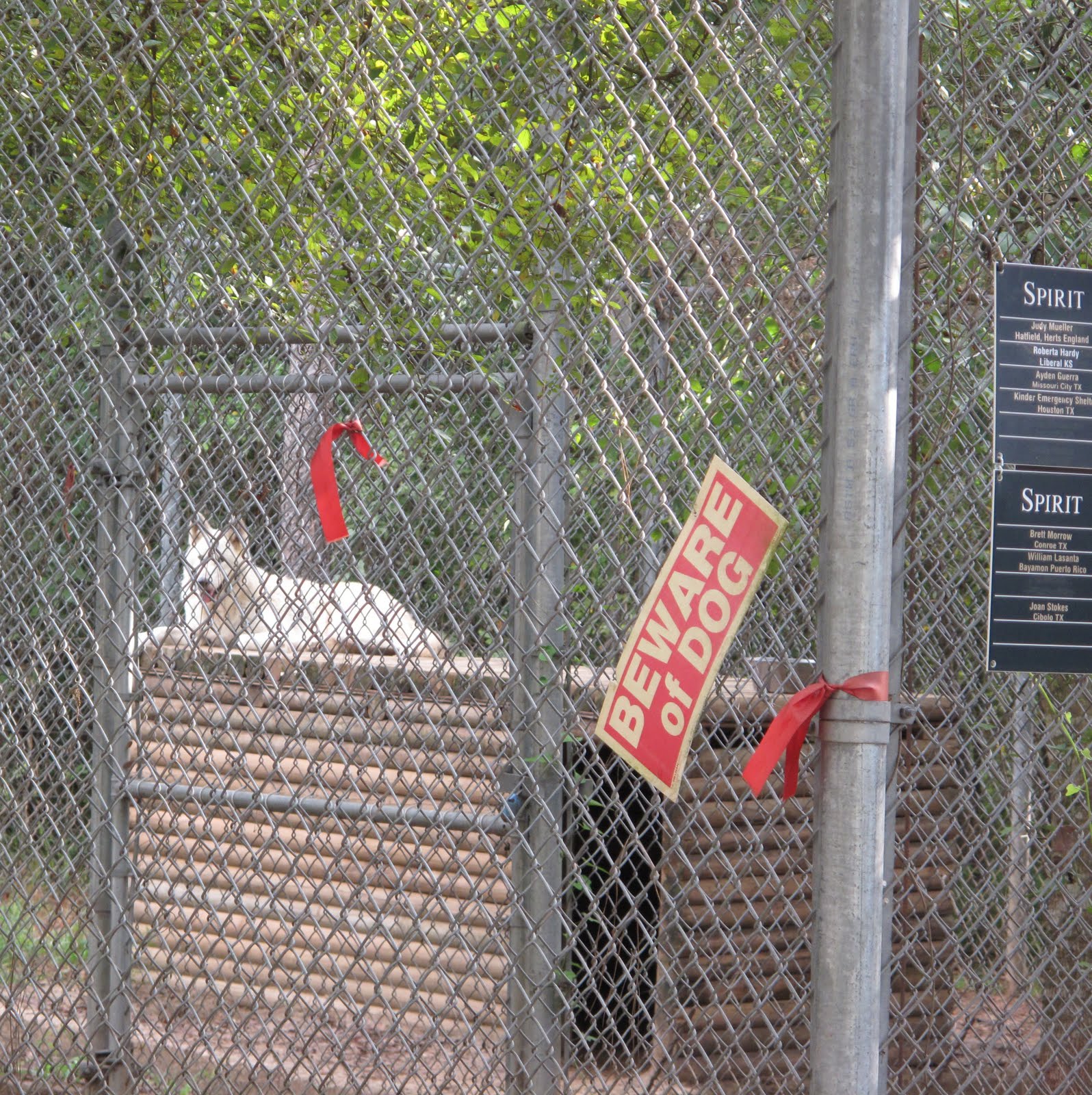 Wolf Dog Grieving