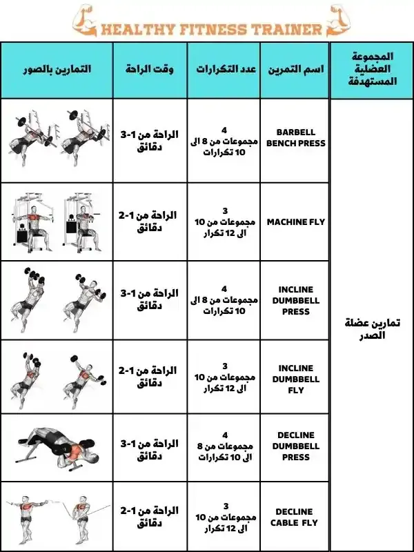 جدول تمارين كمال الاجسام 5 ايام للمبتدئين بالصور، تمارين عضلة الصدر