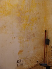 DSC08464