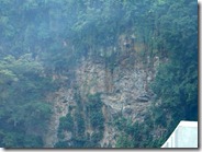 RockWallClimbing