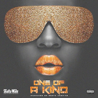 (Afro Pop) ONE OF A KIND - Shatta Wale (2023) 