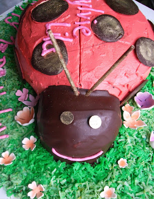 Ladybug Birthday Cake on Thoughts And Ideas  Sarah Magid Cakes  Ladybug Cake