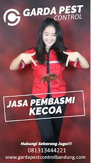 Garda Pest Control Jasa Pembasmi Tawon dan Lebah di Bandung