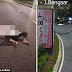 Mayat dengan kesan kelar di leher ditemui di tengah Jalan Bangsar