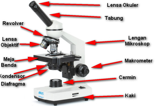 Bagian-Bagian Mikroskop Secara Lengkap Terlengkap