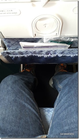 cathay pacific a330 leg space
