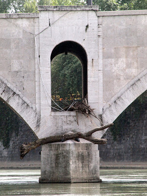 jiemve, Rome, Tibre, tronc, inondation