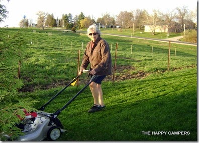 LAWN 001