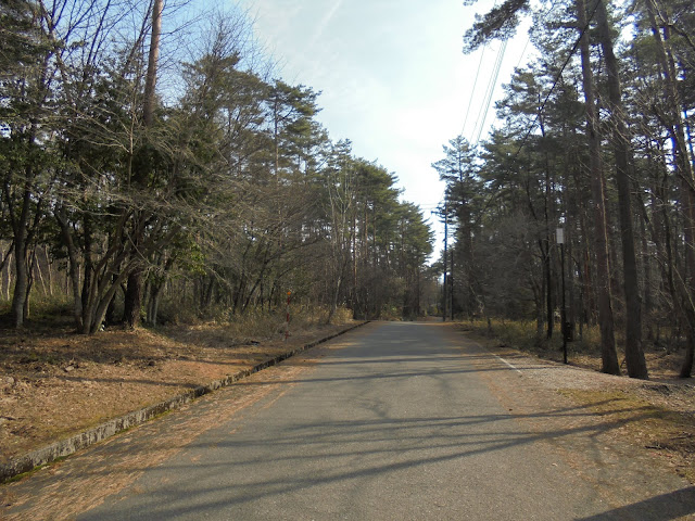 別荘地の道路