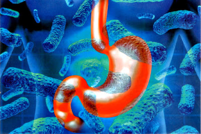 Bacterias parásitos salud contagio purgarse