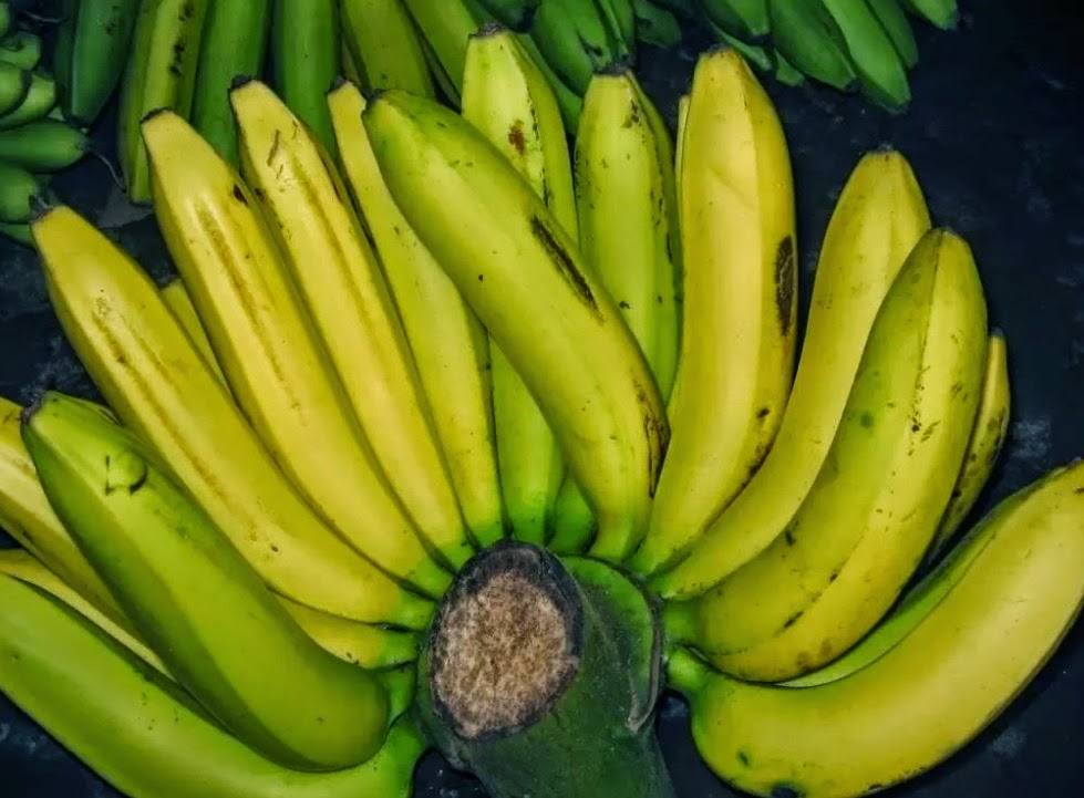 Rasakan Aneka Manfaat Buah  Pisang  Untuk Kesehatan Dan 