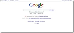 googleSITEnew