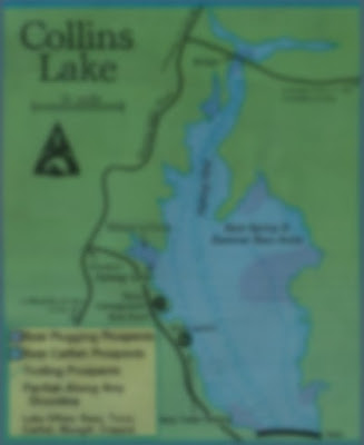 collins lake fishing map April 2020 California Fishing Collins Lake Fishing Map And Fishing Report Hunting Clubs April 2020 Collins Lake Fishing Map And Fishing Report How To Fish And Where To Fish On This Lake collins lake fishing map