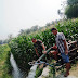 Serda Akmad Subandi Dampingi Petani Mengairi Lahan Tanaman Jagung