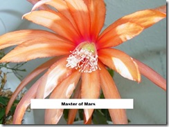 Epi Master of Mars