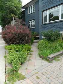 Leslieville Front Garden Cleanup Before by Paul Jung Gardening Services--a Toronto Gardening Company