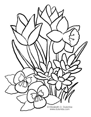 Spring Coloring Sheets on Colors Of Spring Flowers And Coloring Pages Are Easy To Draw And Color