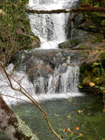 by E.V.Pita.... Spain, amazing rain forest in River Barragan (Pazos de Borben) / Por E.V.Pita.... Sorprendente bosque del río Barragan (Galicia, Pazos de Borbén y Fornelos de Montes) / A fraga do Barragán