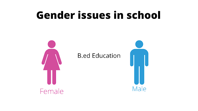 What is Gender, B.Ed. Topic