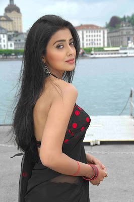 actress shreya in hot saree photos