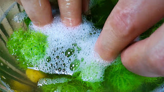 Passiflora plant soap