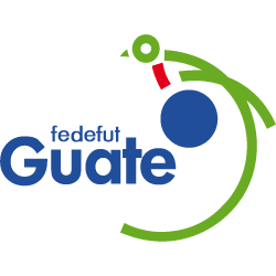 Plantilla de Jugadores del Guatemala - Edad - Nacionalidad - Posición - Número de camiseta - Jugadores Nombre - Cuadrado