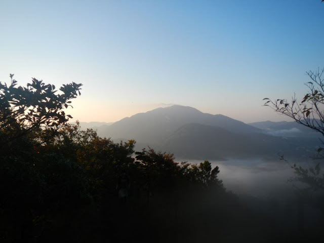 登山道から箱根方面