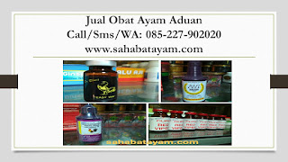 Obat Ayam Gering Tradisional, Obat Ayam Goham Bengkak, Obat Ayam Goweh, Obat Ayam Gejala Penyakit Kuning, Obat Ayam Gemuk