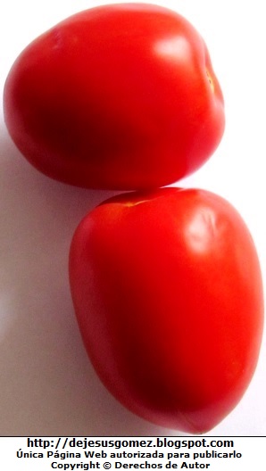 Foto de dos tomates rojos por Jesus Gómez