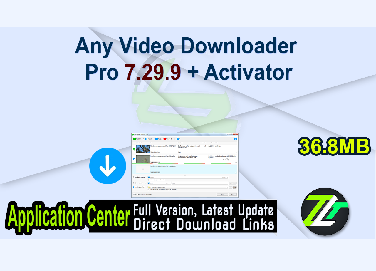 Any Video Downloader Pro 7.29.9 + Activator