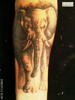 Elefante Tattoo