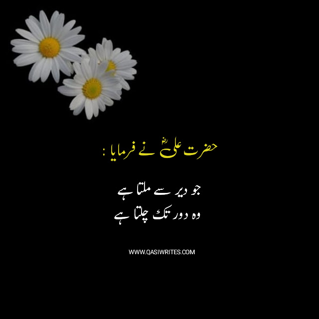 Best Hazrat Ali(R.A) Quotes About Life | Motivational Quotes in Urdu Text - Qasiwrites