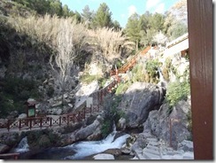 DSCF0274