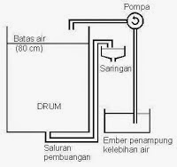 Cara Memelihara Ikan Mas dalam Drum