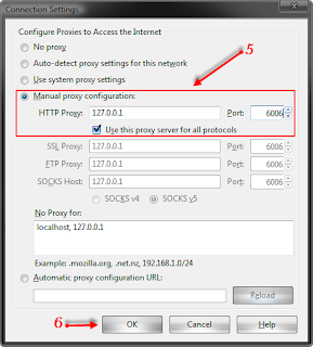 ip proxy