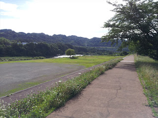 相模川八景「水郷田名と高田橋」堤防の遊歩道