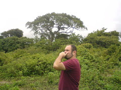 Lost