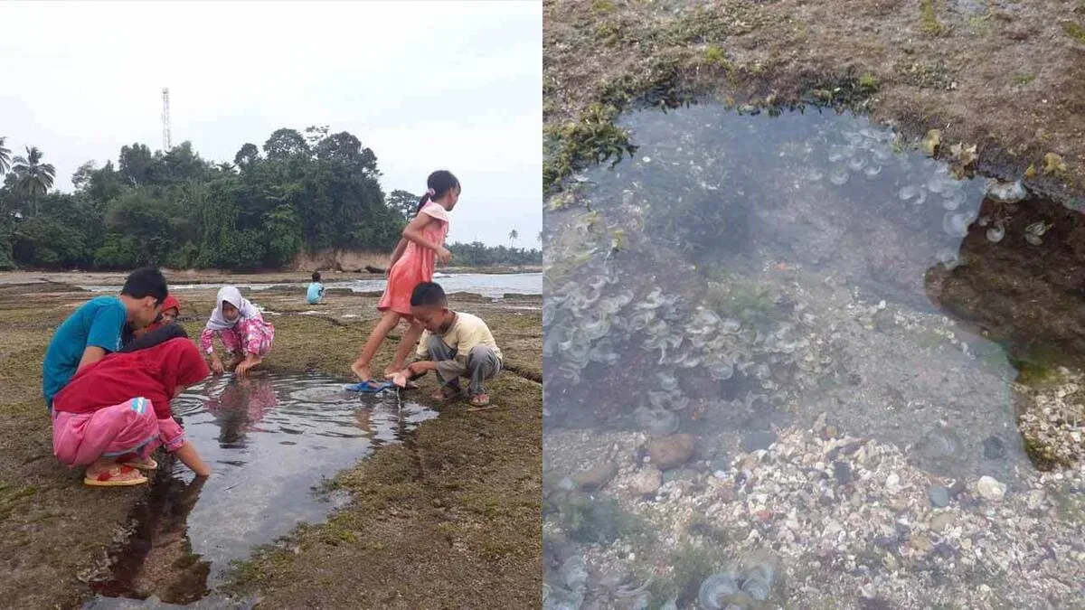 Kubangan kolam Pantai Sukahujan