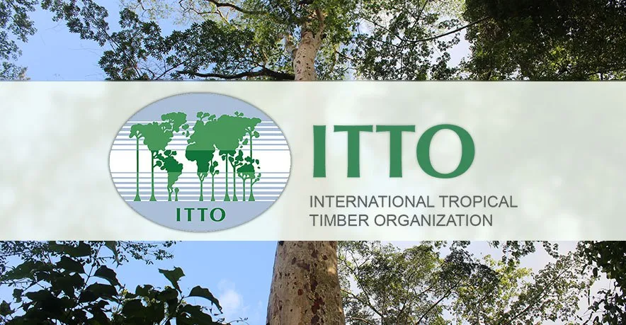 ITTO Fellowship Programme 2023