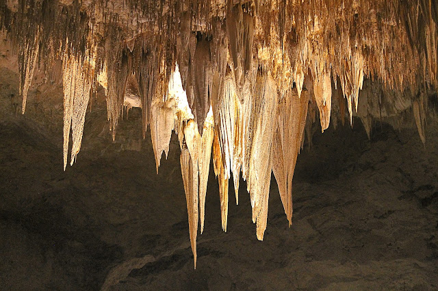 Carlsbad Caverns National Park New Mexico caves geology reef spelunking explore travel trip copyright rocdoctravel.com