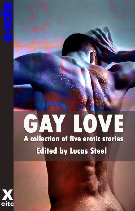 GAY LOVE A Collection of Five Erotic Stories edited by Lucas Steel