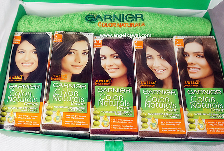 Angelkawai s Diary GARNIER  Color  Naturals Cream Hair  